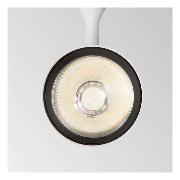 IDEAL LUX TECHNICAL | СПОТLIGHTS AND TRACKS SMILE 20W CRI80 24° 3000K 189635