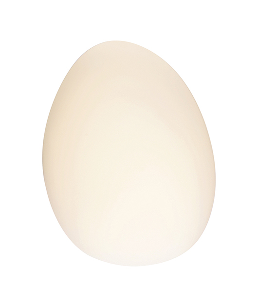 ZAMBELIS 20136 LED АПЛИК 5W 3000K GLASS & IRON WHITE