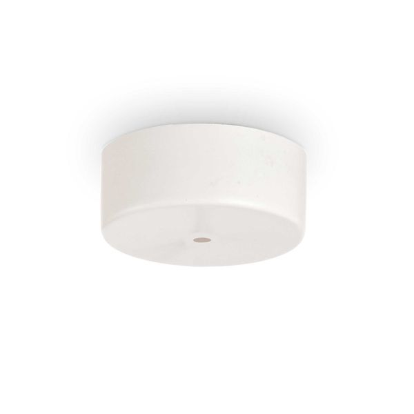 COD. 249315 ROSONE MAGNETICO 1 LUCE