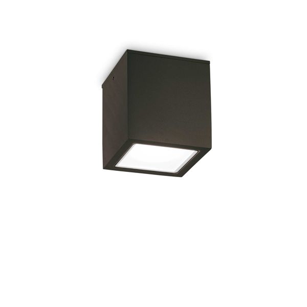 ФАСАДНА ЛУНА ЗА ВЪНШЕН МОНТАЖ IDEAL LUX 251530 TECHO PL1 BIG NERO