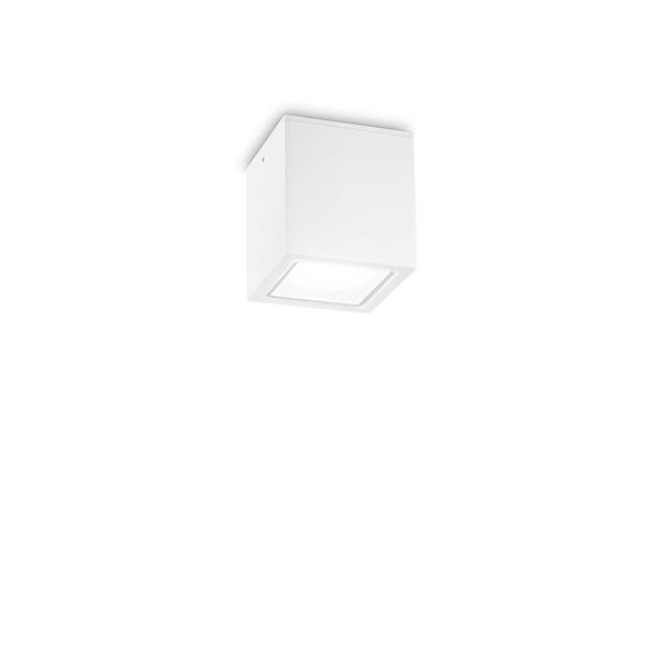 ФАСАДНА ЛУНА ЗА ВЪНШЕН МОНТАЖ IDEAL LUX 251561 TECHO PL1 SMALL BIANCO