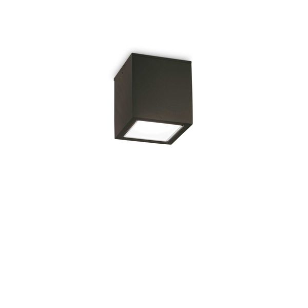 ФАСАДНА ЛУНА ЗА ВЪНШЕН МОНТАЖ IDEAL LUX 251578 TECHO PL1 SMALL NERO