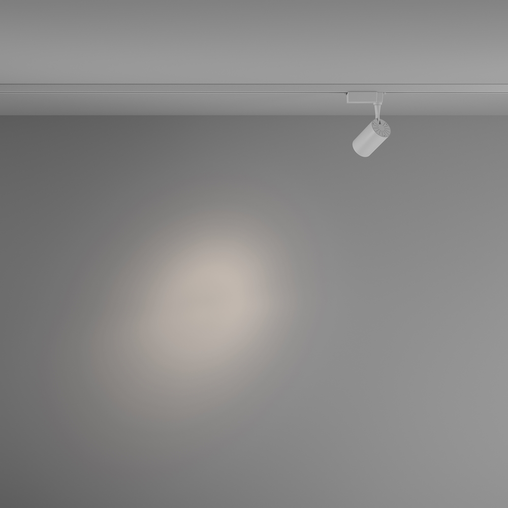 MAYTONI Track Lighting TR003-1-6W4K-S-W