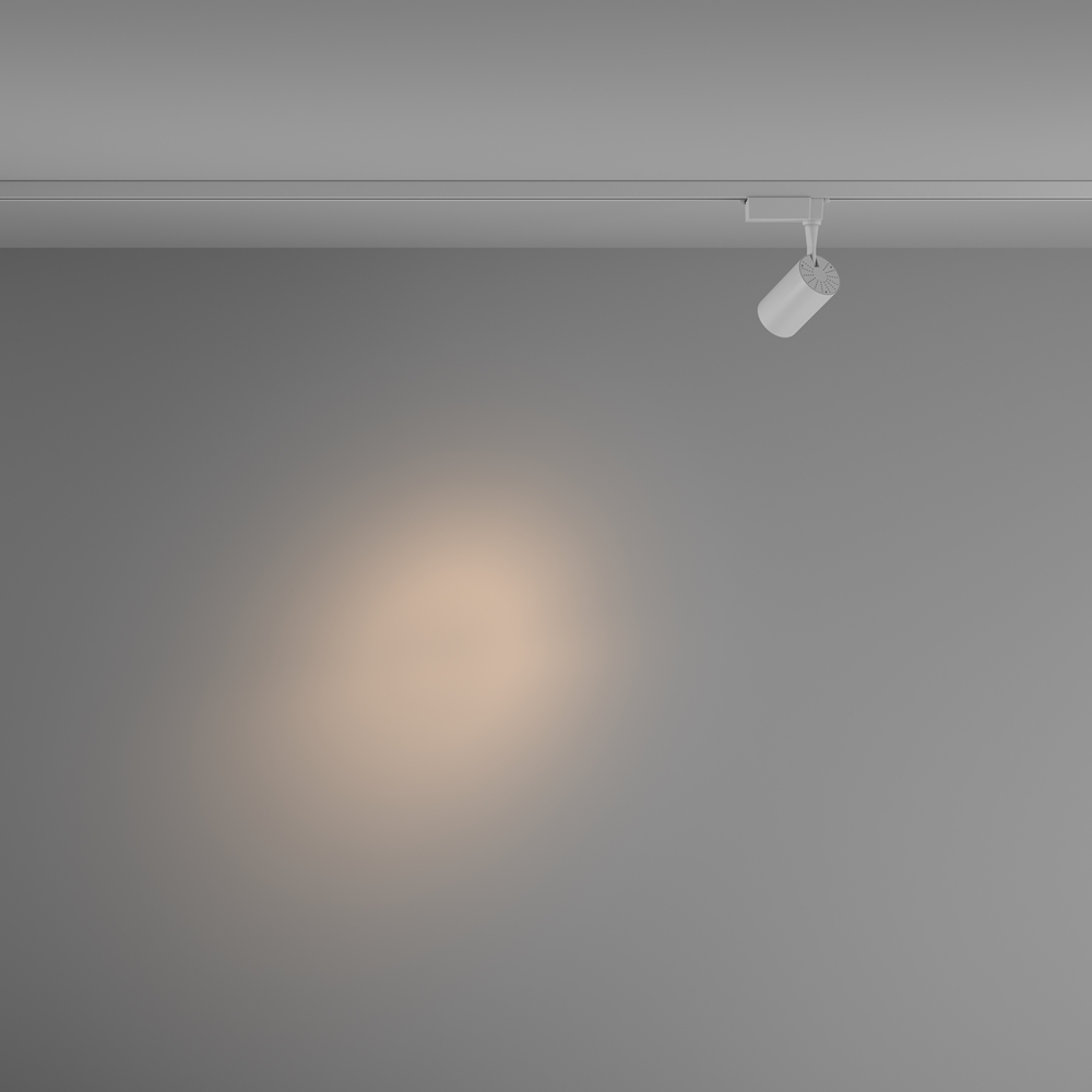 MAYTONI Track Lighting TR003-1-6W3K-S-W