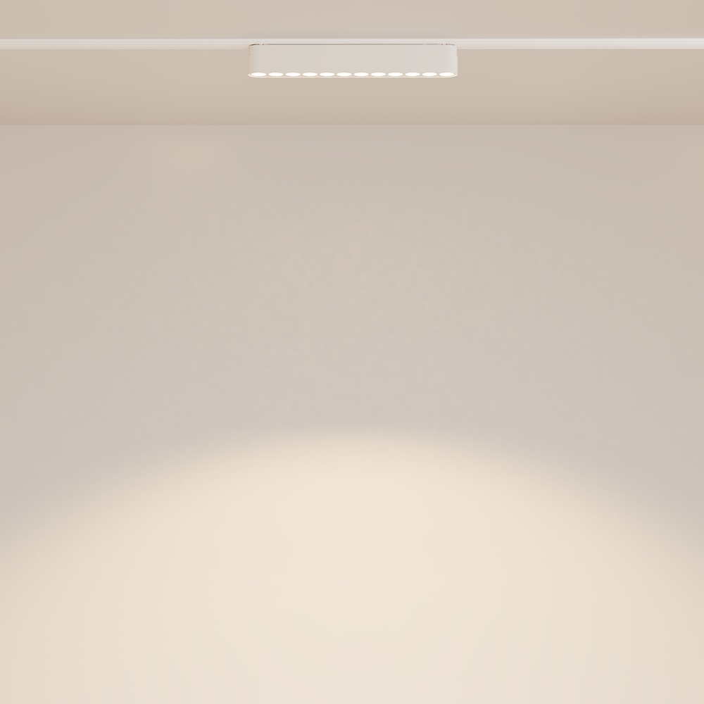 MAYTONI Track Lighting Points TR082-1-12W3K-M-W