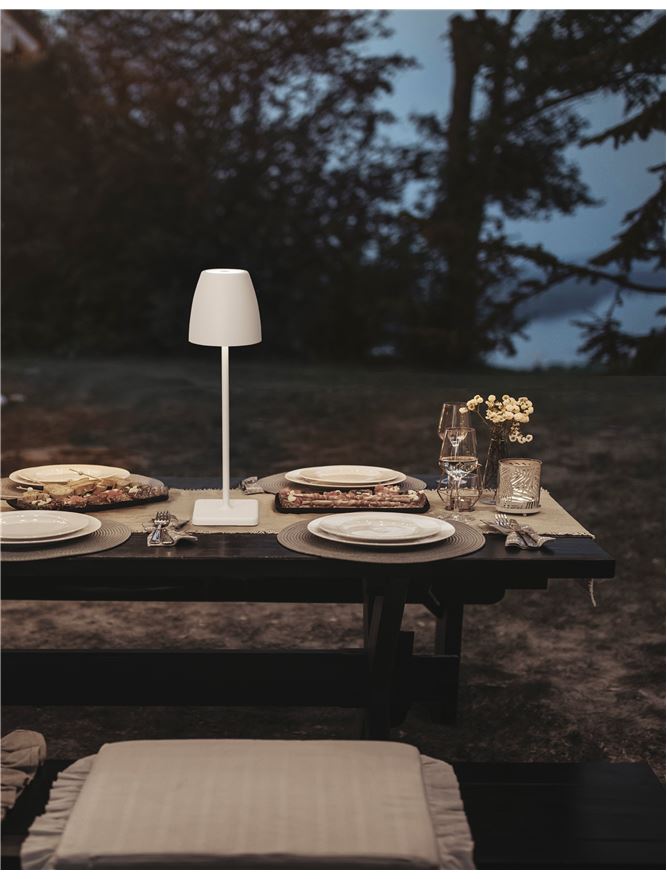 NOVA LUCE НАСТОЛНА ЛАМПА 9121911