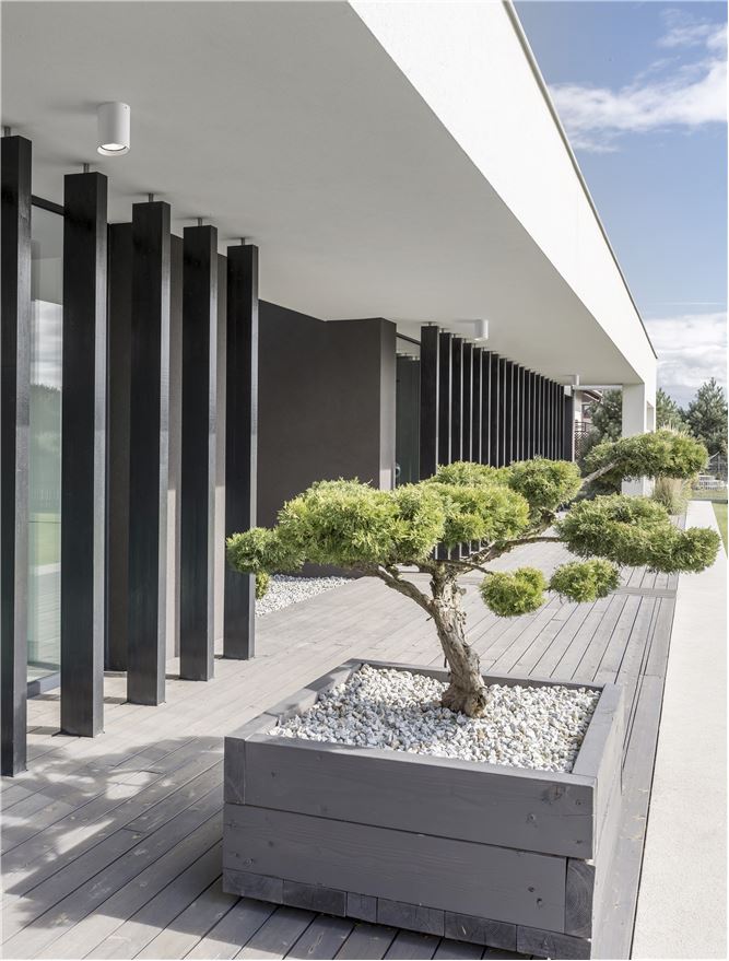 NOVA LUCE 9136179 DARA