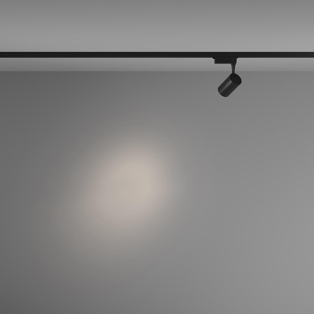 MAYTONI Track Lighting TR003-1-6W4K-S-B