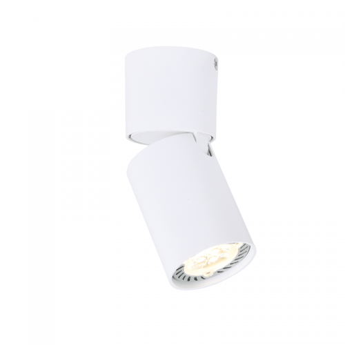 ACA LIGHTING ЛУНА ЗА ВЪНШЕН МОНТАЖ RA301S6WH ELITIS