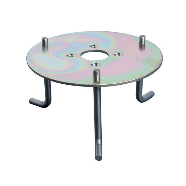 ELSTEAD ROOT FOR SANDBANKS AND POOLE BOLLARDS