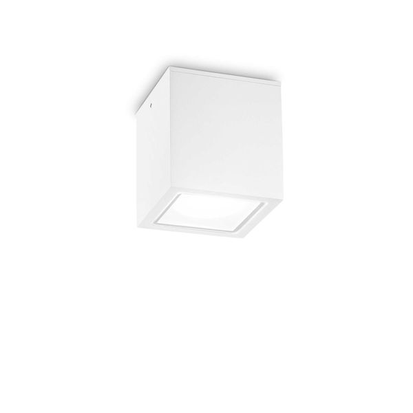 ФАСАДНА ЛУНА ЗА ВЪНШЕН МОНТАЖ IDEAL LUX 251523 TECHO PL1 BIG BIANCO