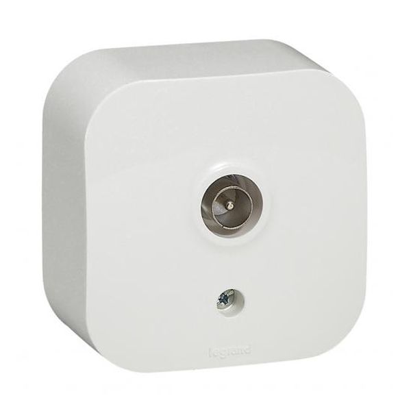 LEGRAND - 782415 ТЕЛЕВИЗИОННА РОЗЕТКА ОТКРИТ МОНТАЖ IP21