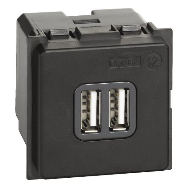 BTICINO - РОЗЕТКА 2XUSB ЗА ЗАРЕЖДАНЕ ТИП A 5V 2.4A 2 МОД. LIVING NOW BTICINO K4285C2