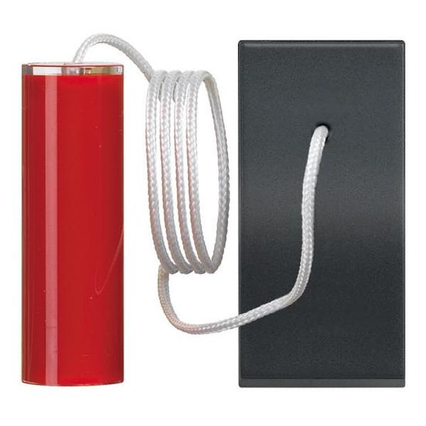 BTICINO - RG4033 БУТОН С КОРДА 1 МОДУЛ CLASSIA ЧЕРЕН