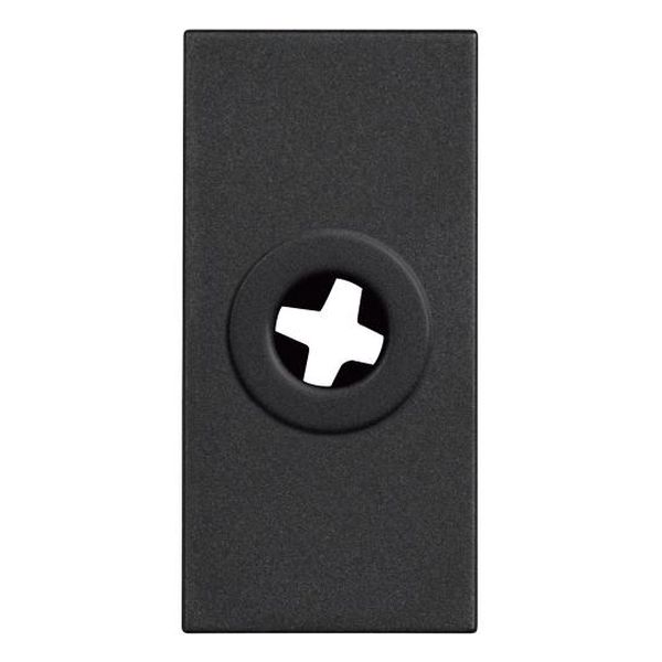 BTICINO - RG4953 ПРАЗЕН МОДУЛ С ОТВОР Ф9,5ММ 1 МОДУЛ CLASSIA ЧЕРЕН