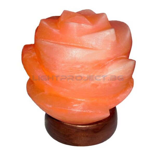 RABALUX ДЕКОРАТИВНА ЛАМПА ОТ КАМЕННА СОЛ FLORES 2676