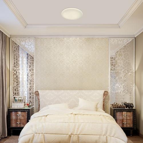 RABALUX ПЛАФОН DANNY 5449 LED / 36W, 3000LM, 3000K-6500K