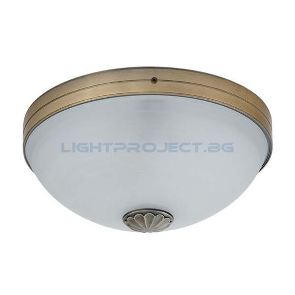 RABALUX ПЛАФОН ORCHIDEA 8558