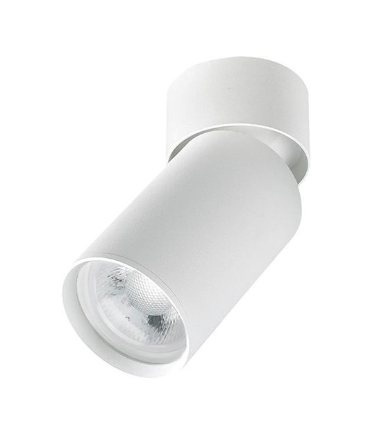 ZAMBELIS LIGHTS S123 SURFACE MOUNTING LAMP