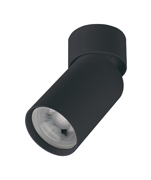 ZAMBELIS LIGHTS S124 SURFACE MOUNTING LAMP