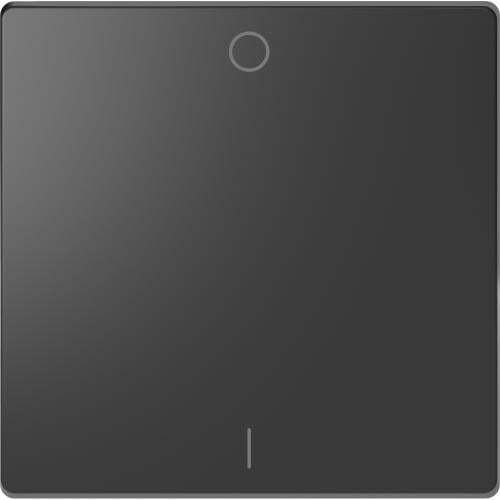 SCHNEIDER ELECTRIC MTN3301-6034 ЛИЦЕВ ПАНЕЛ ЗА ДВУПОЛЮСЕН КЛЮЧ 1/0 СИМВОЛ АНТРАЦИТ SYSTEM DESIGN