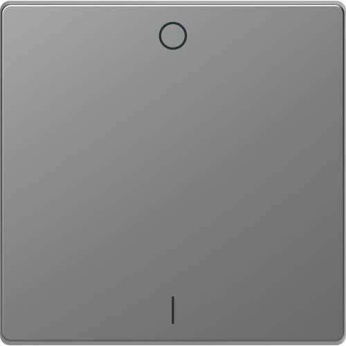 SCHNEIDER ELECTRIC MTN3301-6036 ЛИЦЕВ ПАНЕЛ ЗА ДВУПОЛЮСЕН КЛЮЧ 1/0 СИМВОЛ НЕРЪЖДАЕМА СТОМАНА SYSTEM DESIGN