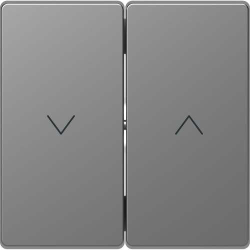SCHNEIDER ELECTRIC MTN3855-6036 ЛИЦЕВ ПАНЕЛ ЗА КЛЮЧ/БУТОН ЗА ЩОРИ НЕРЪЖДАЕМА СТОМАНА SYSTEM DESIGN