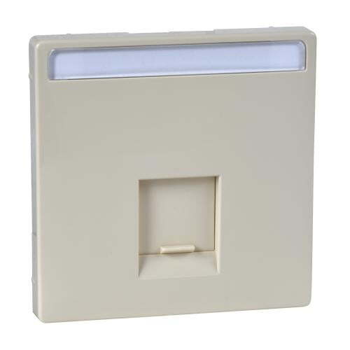 SCHNEIDER ELECTRIC MTN466444 ЛИЦЕВ ПАНЕЛ ЗА RJ45 КРЕМ ARTEC И ANTIQUE