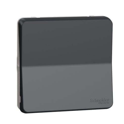 SCHNEIDER ELECTRIC БОЙЛЕРЕН КЛЮЧ ДВУПОЛЮСЕН 16А МЕХАНИЗЪМ IP55 АНТРАЦИТ MUR35034