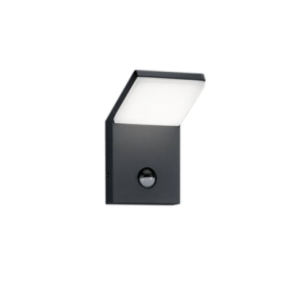 TRIO LED ФАСАДЕН АПЛИК СЪС СЕНЗОР ЗА ДВИЖЕНИЕ 221169142 PEARL