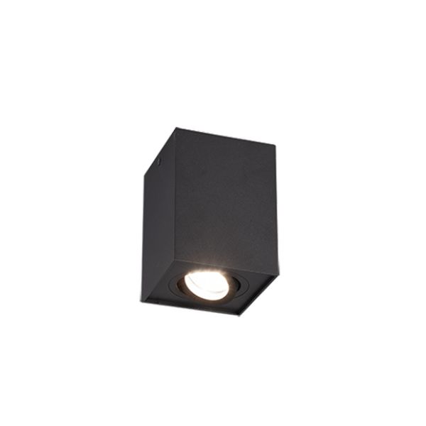 TRIO ЛУНА ЗА ВЪНШЕН МОНТАЖ 613000132 COOKIE