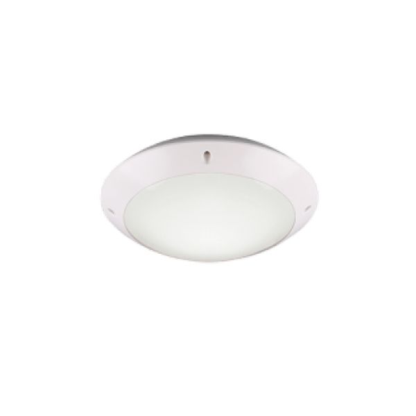 TRIO ГРАДИНСКИ ПЛАФОН R60501031 CAMARO