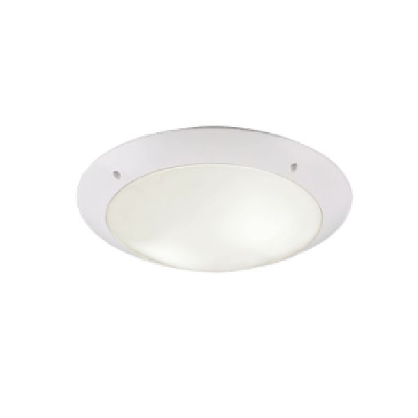 TRIO ГРАДИНСКИ ПЛАФОН R60502031 CAMARO