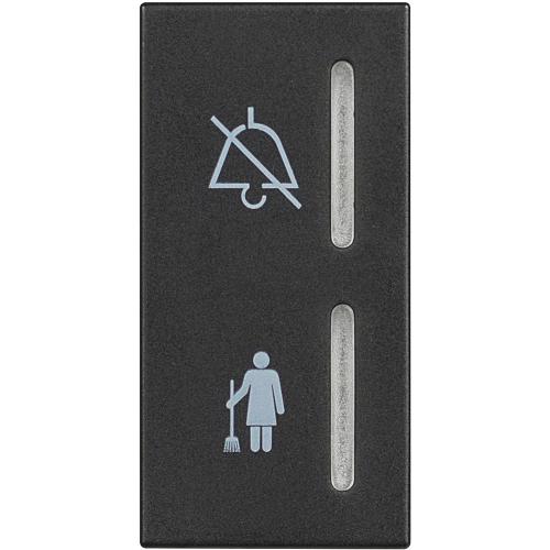 BTICINO - RG4373H Светлинен Индикатор Почисти/Не Безпокой 1 Модул Classia Черен