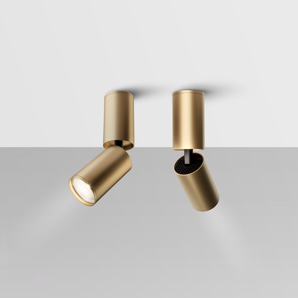 MAYTONI Ceiling lamp FOCUS S C051CL-01G