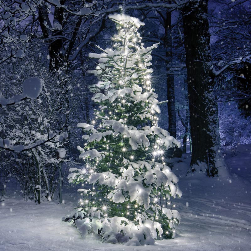 ACA LIGHTING CHRISTMAS X08350211 350LED OCTOPUS LIGHT 10 STRINGS x 35 LAMPS MULTICOLOR ADAPTOR 31VDC IP44 3m GREEN CABLE