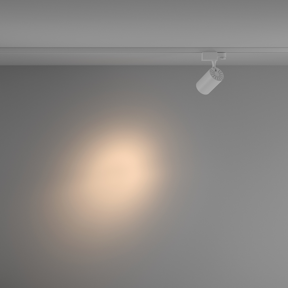 MAYTONI Track Lighting Vuoro TR029-3-10W3K-S-W