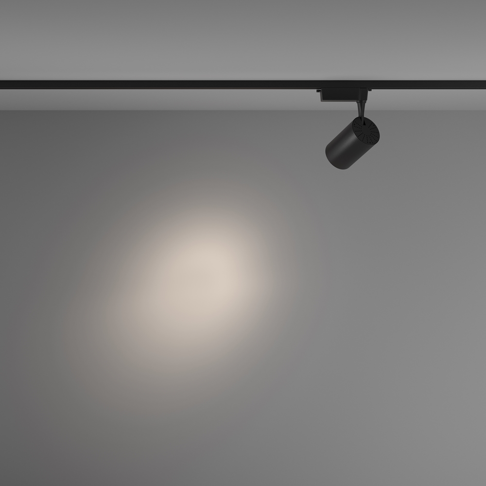 MAYTONI Track Lighting TR003-1-26W4K-S-B