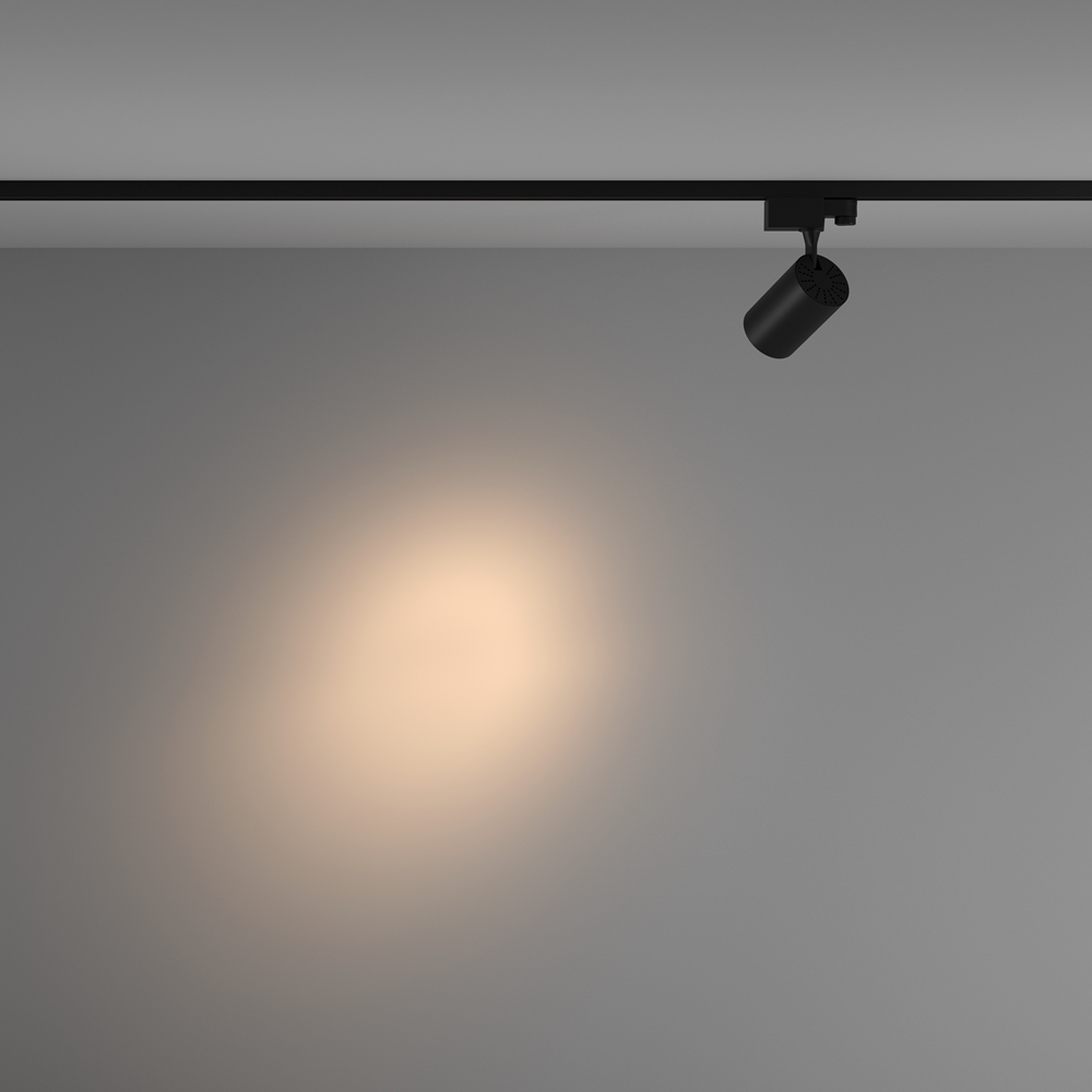 MAYTONI Track Lighting Vuoro TR029-3-10W3K-S-B