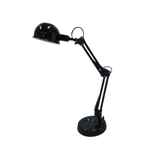 ACA LIGHTING SF2922B RENE