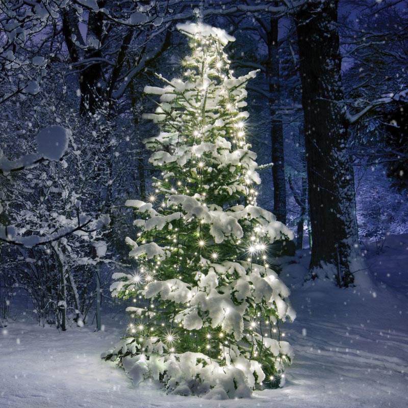 ACA LIGHTING CHRISTMAS X08350111 350 LED OCTOPUS LIGHTS, WW, ADAPT.(31VDC), CONNECT (10 ROWS) IP44, 10*350cm, GREEN CABLE