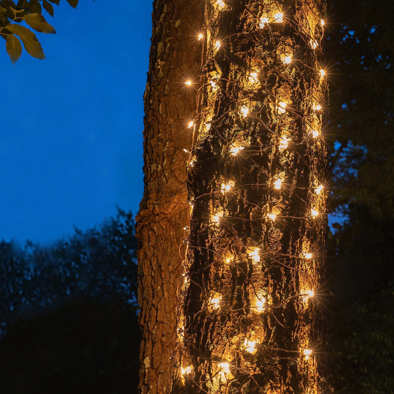 ACA LIGHTING CHRISTMAS X0850111 50 LED NET LIGHT, WARM WHITE, ADAPTOR 24VDC, CONNECTABLE MAX 12 SETS, IP44, 55x80cm, GREEN CABLE & 5 HOOKS